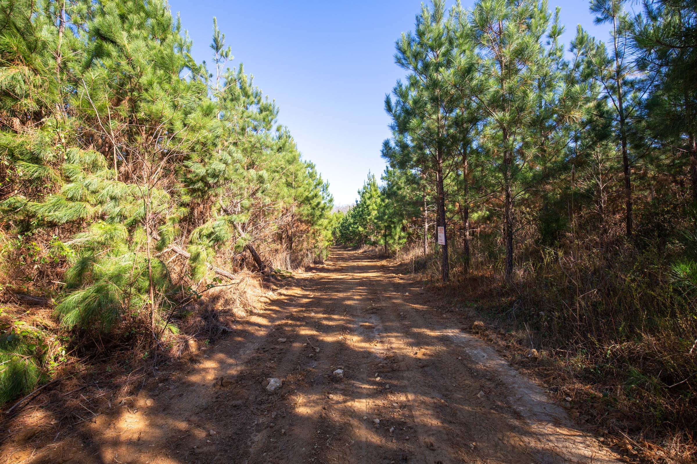 Pine Ridge Tract 12 photo 7