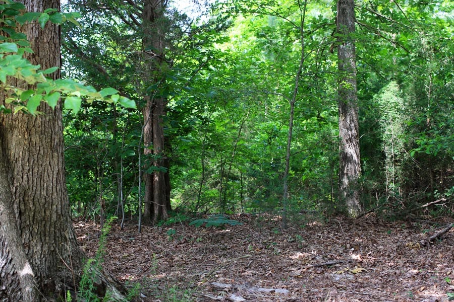Bluebird Ranch Tract 2 photo 1