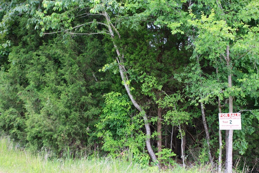 Bluebird Ranch Tract 2 photo 4