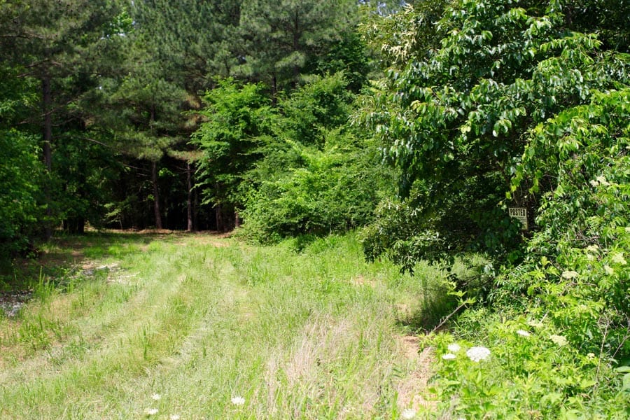 Bluebird Ranch Tract 2 photo 11