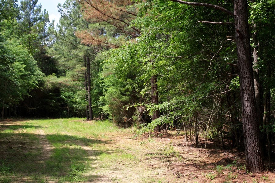 Bluebird Ranch Tract 2 photo 14