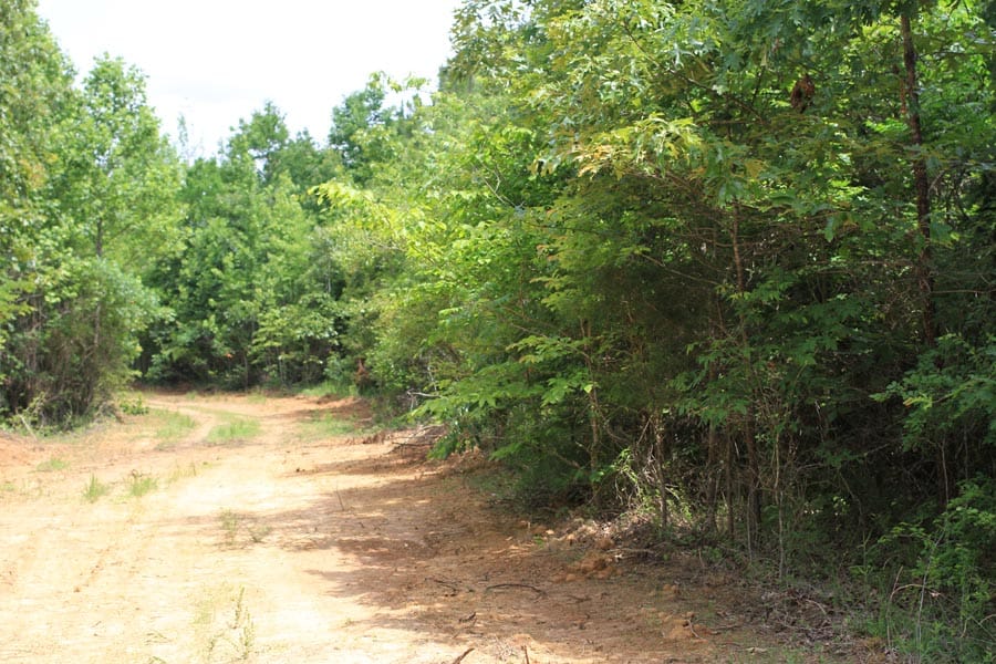Bluebird Ranch Tract 2 photo 17