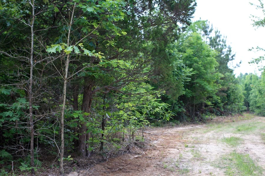 Bluebird Ranch Tract 2 photo 22