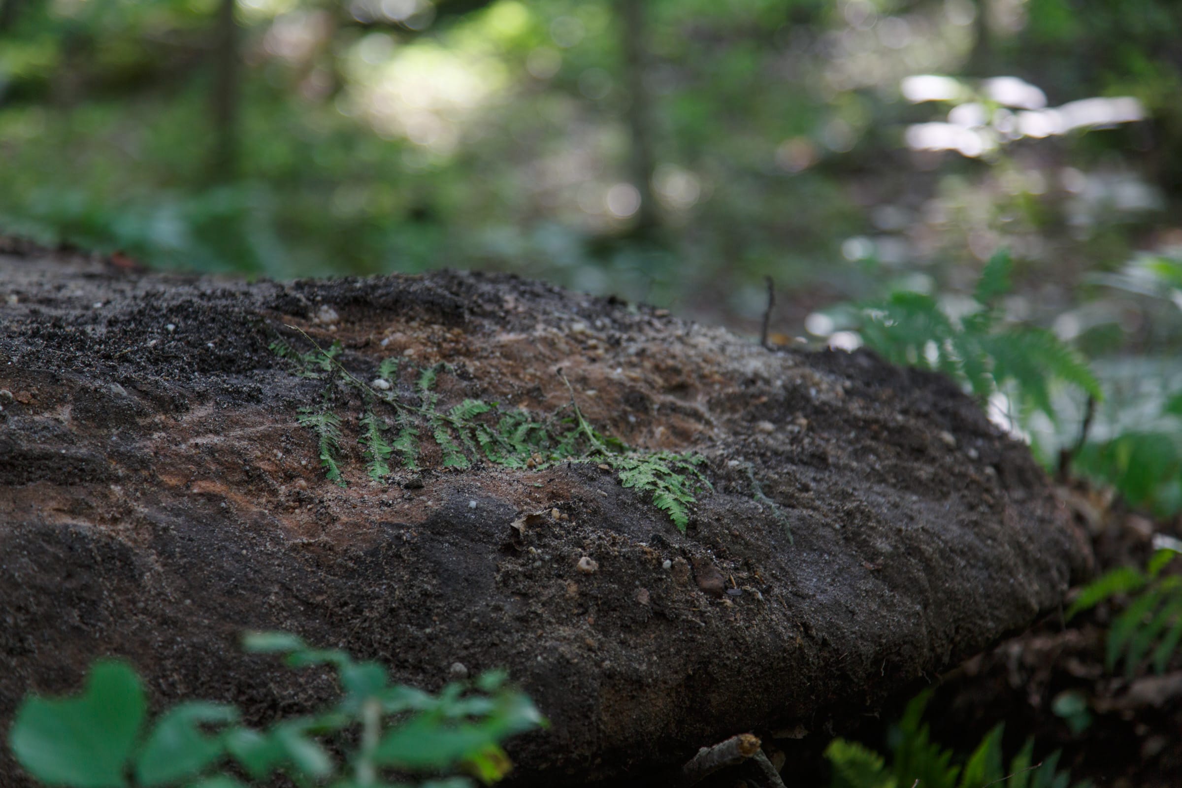 Rolling Hills Tract 13 photo 8