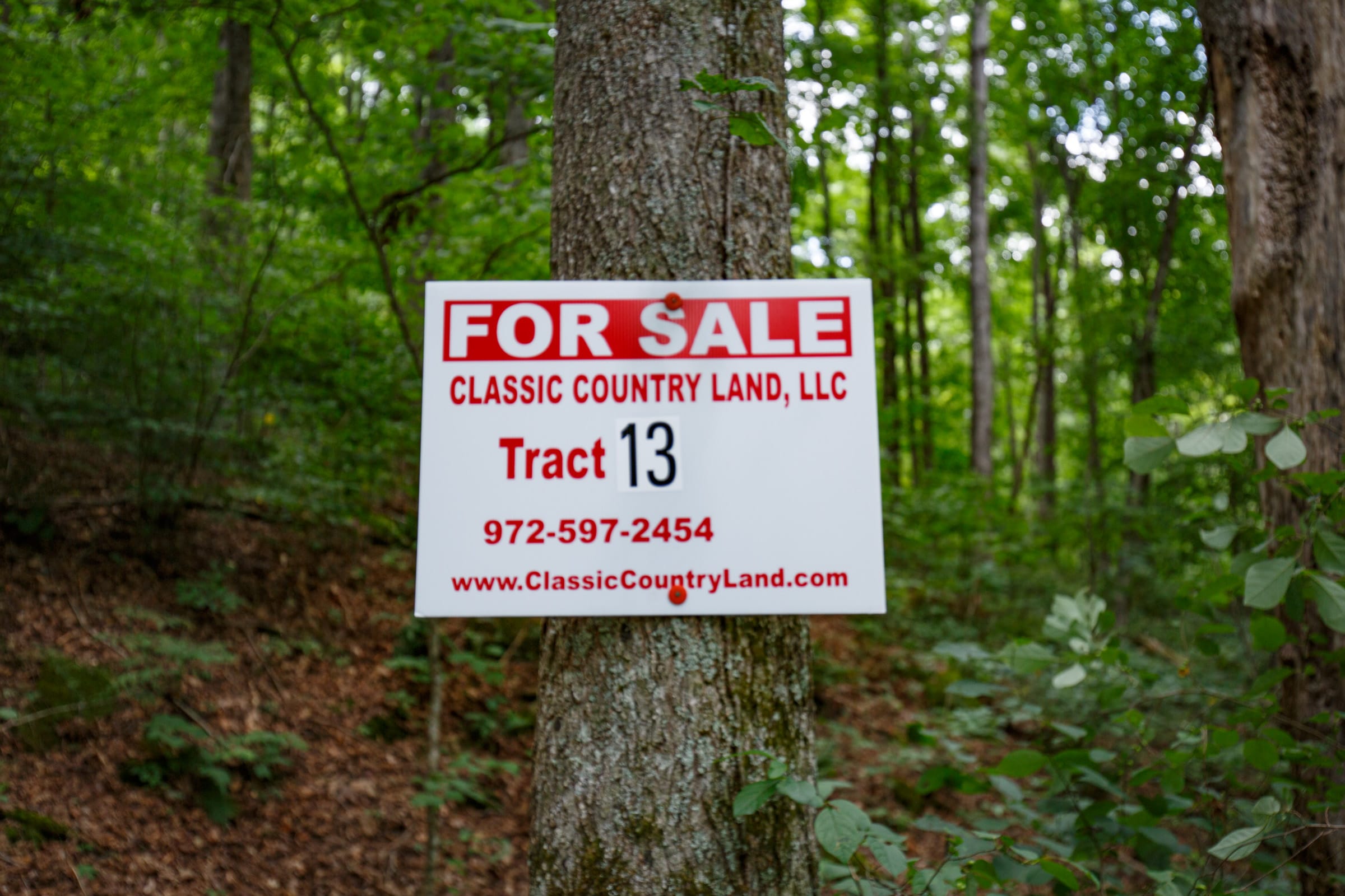 Rolling Hills Tract 13 photo 1