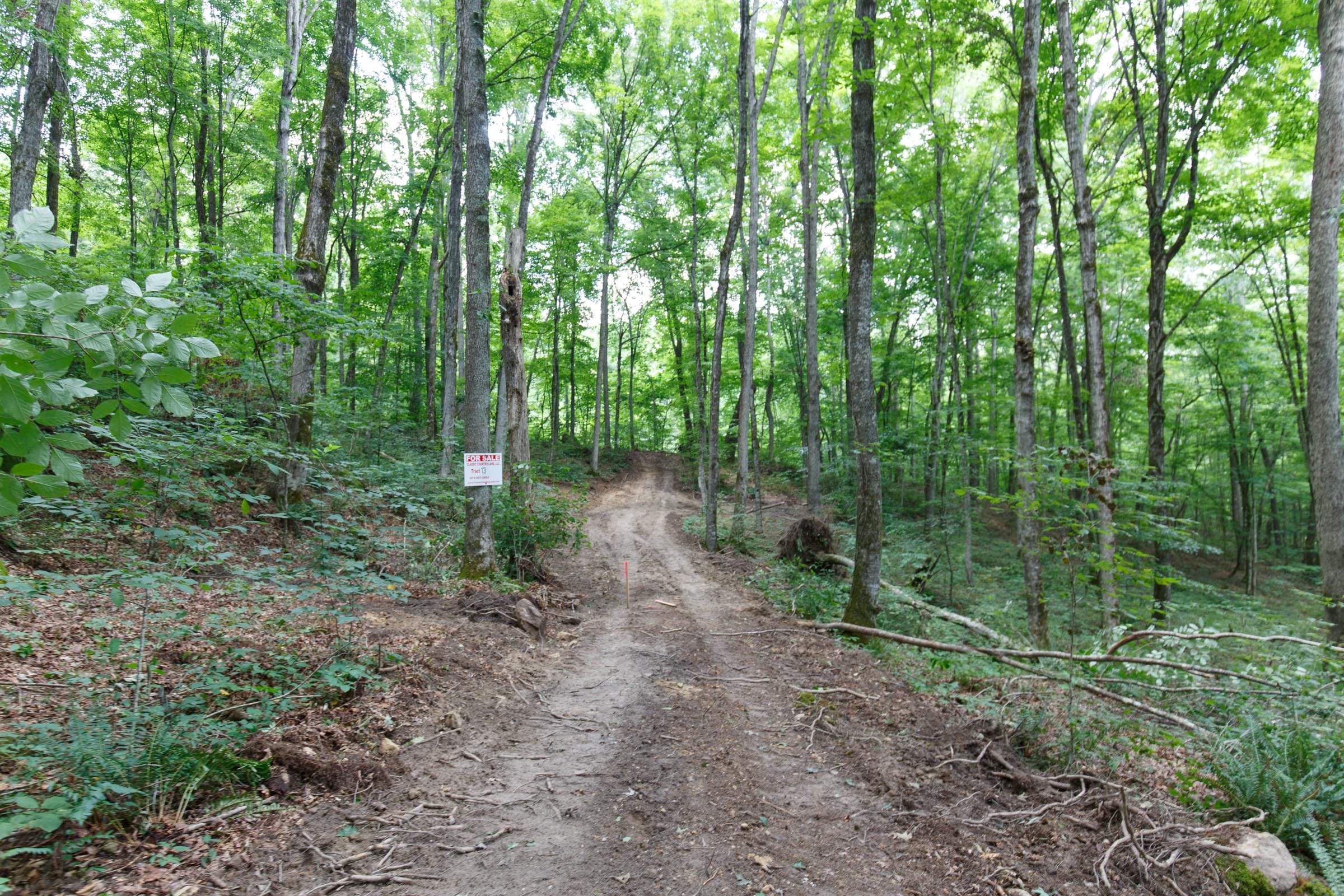 Rolling Hills Tract 13 photo 2