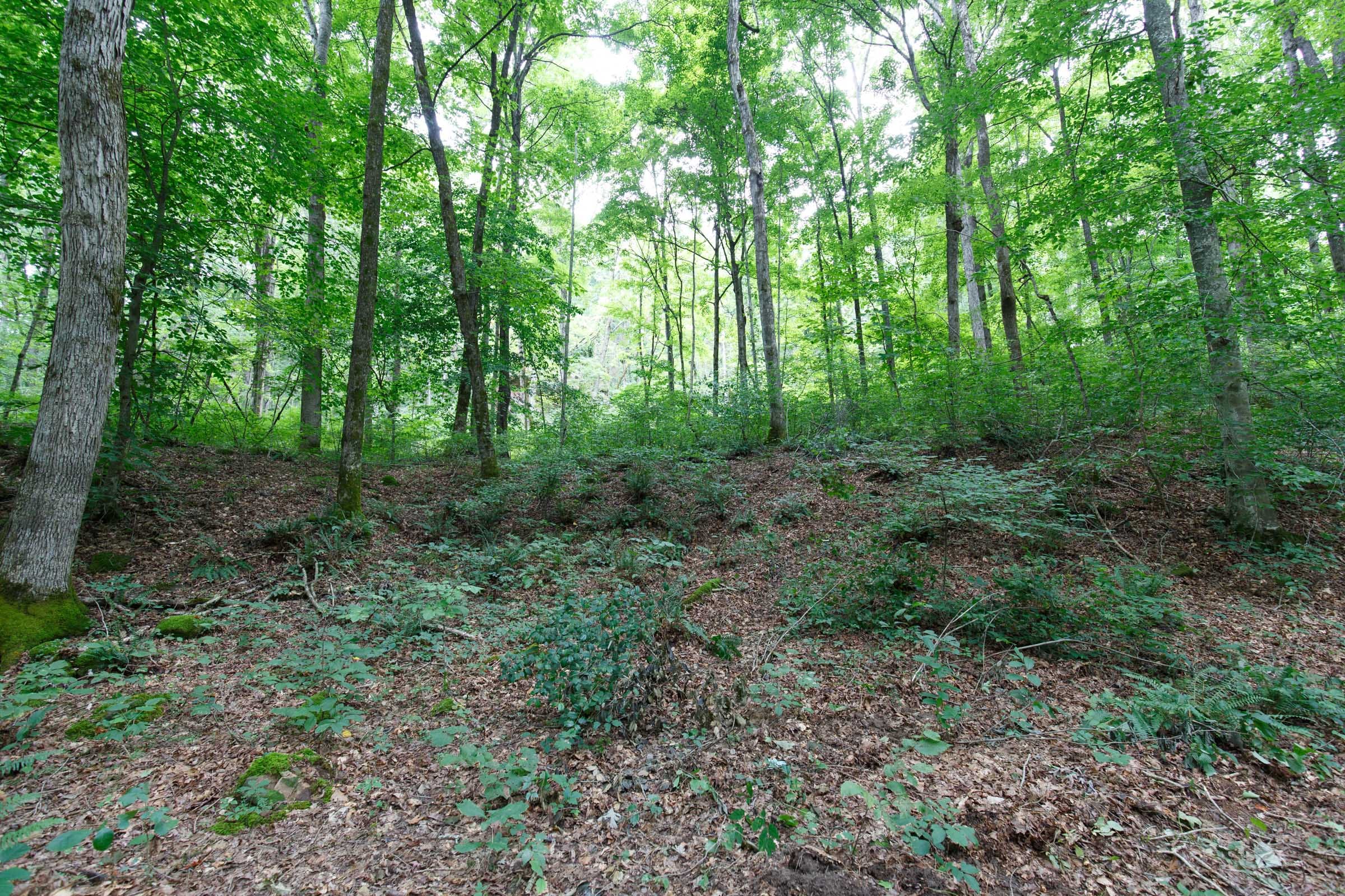 Rolling Hills Tract 13 photo 5