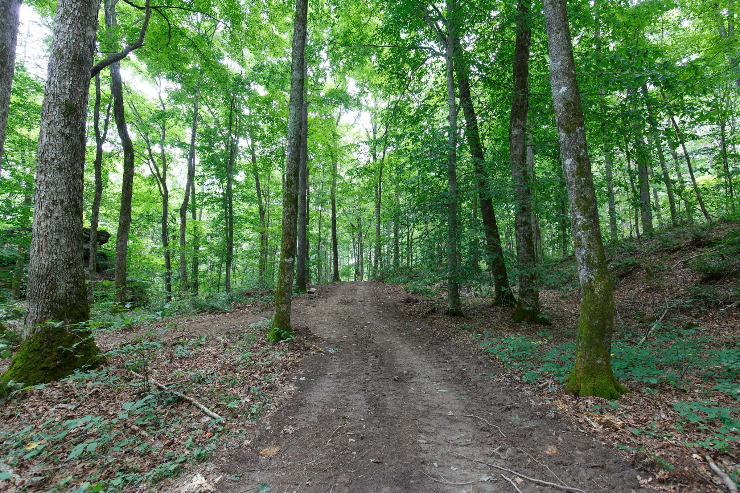 Rolling Hills Tract 13 photo 6