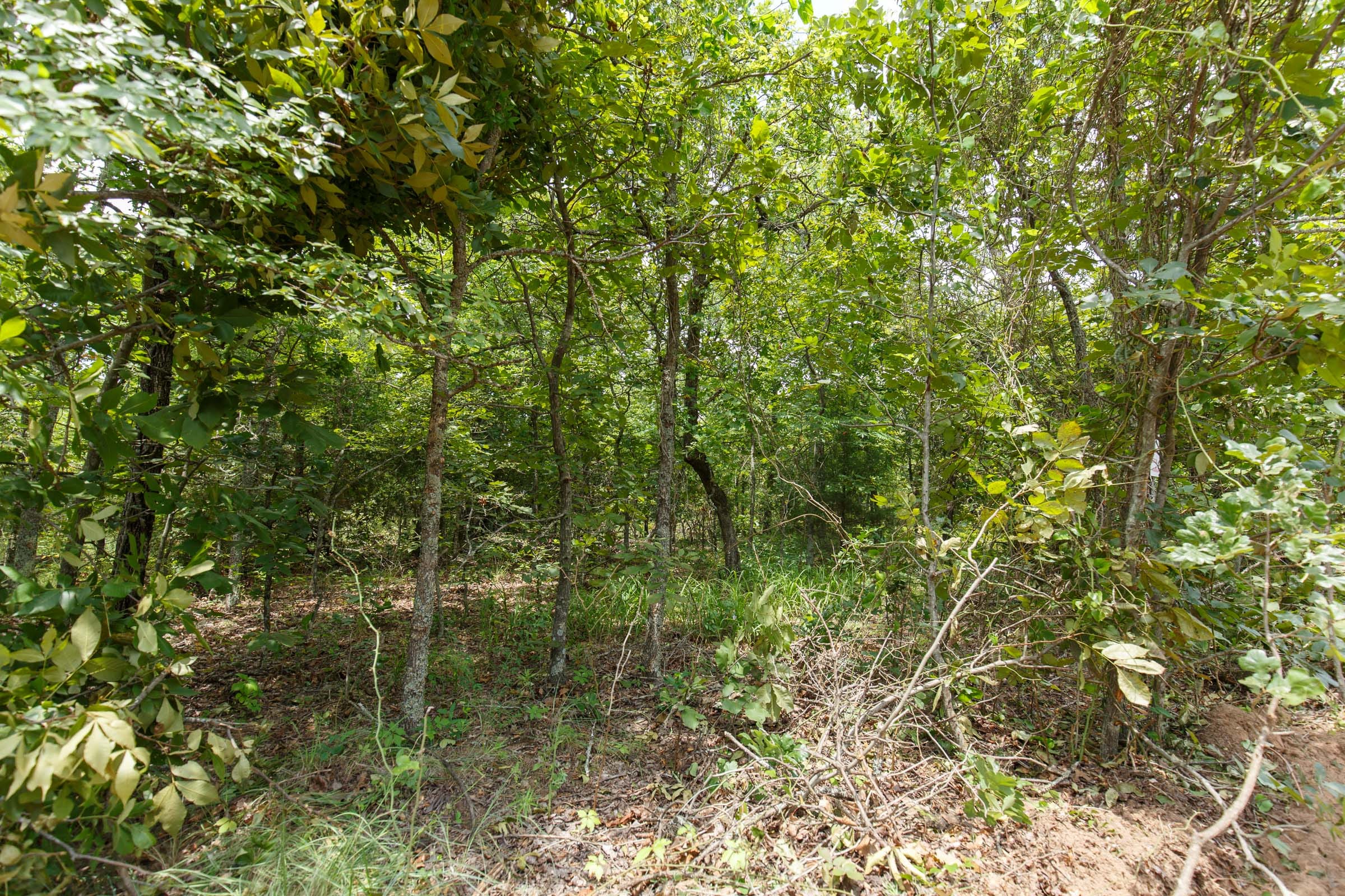 Timber Ridge Tract 7 photo 3