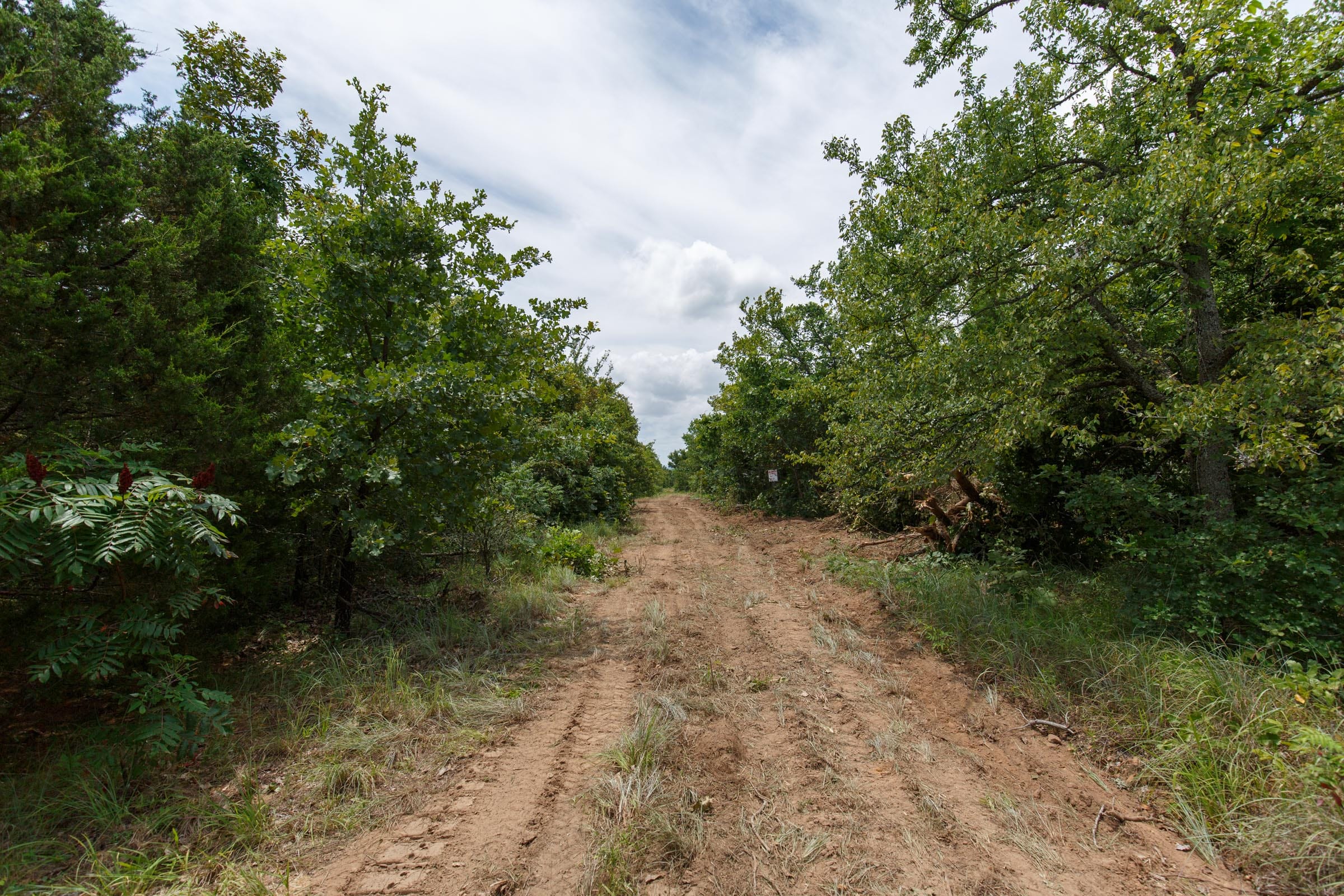 Timber Ridge Tract 7 photo 5