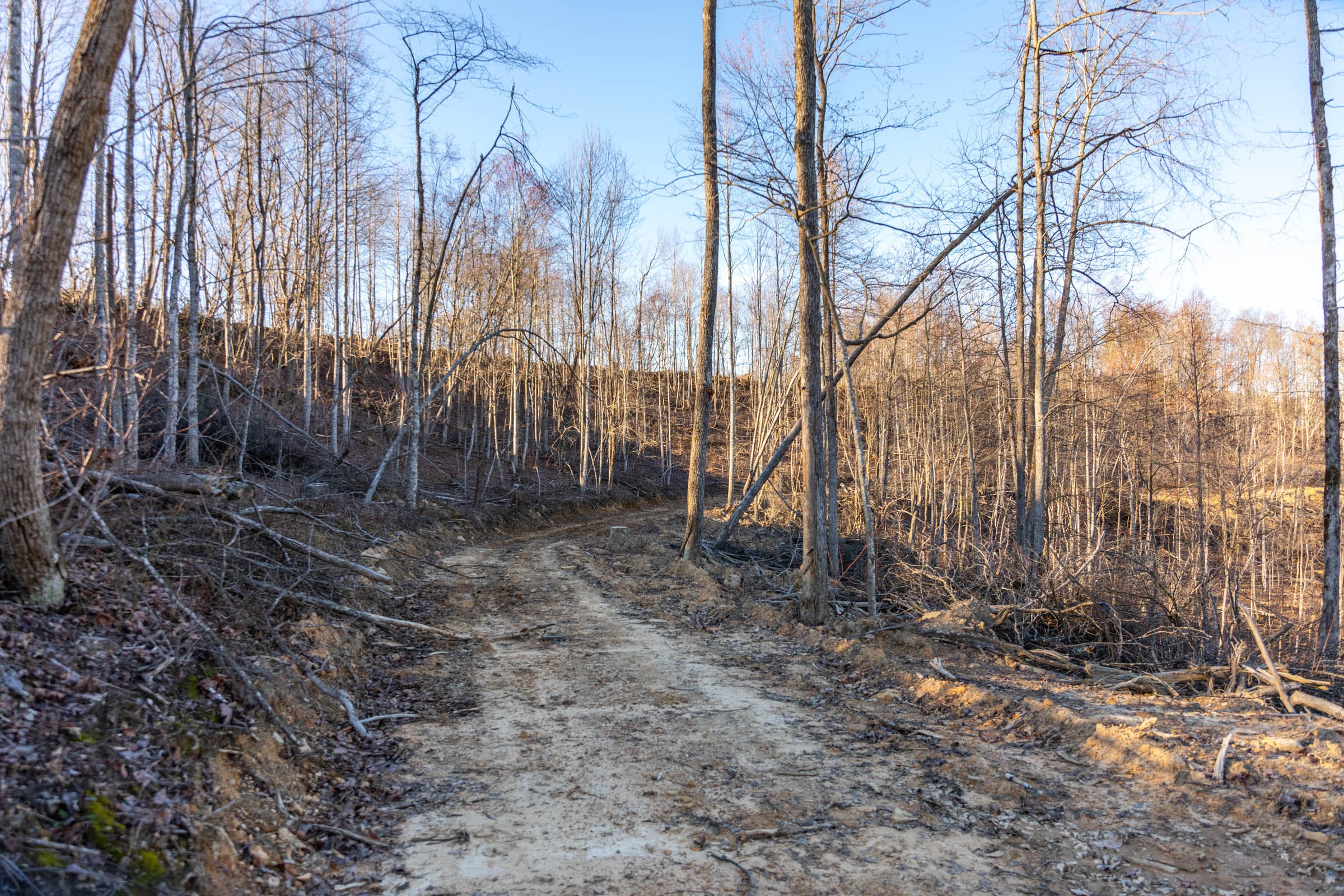 Creek Hollow Phase I Tract 22 photo 1