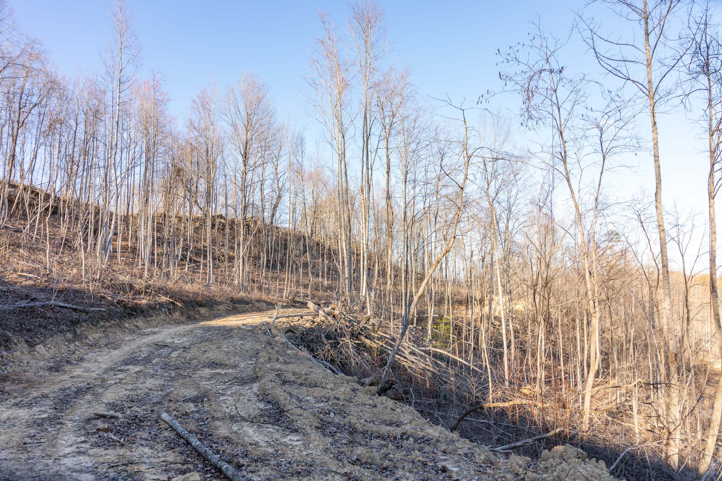 Creek Hollow Phase I Tract 22 photo 5