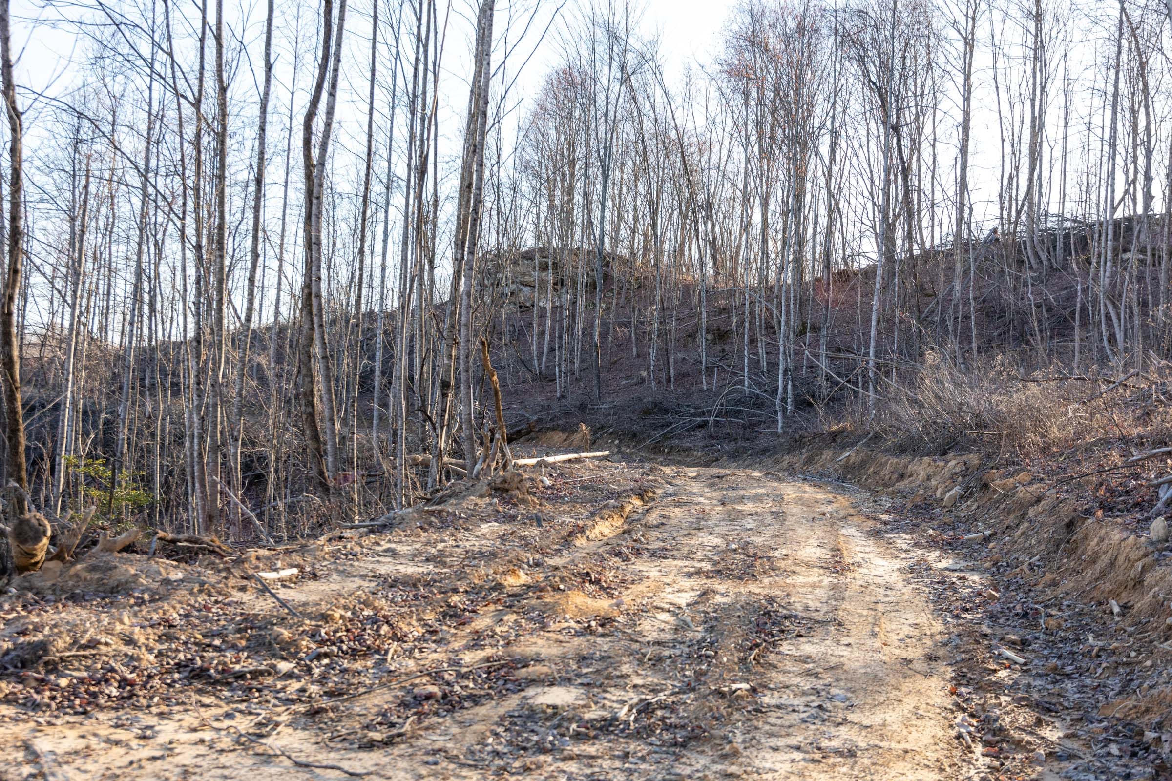 Creek Hollow Phase I Tract 22 photo 7