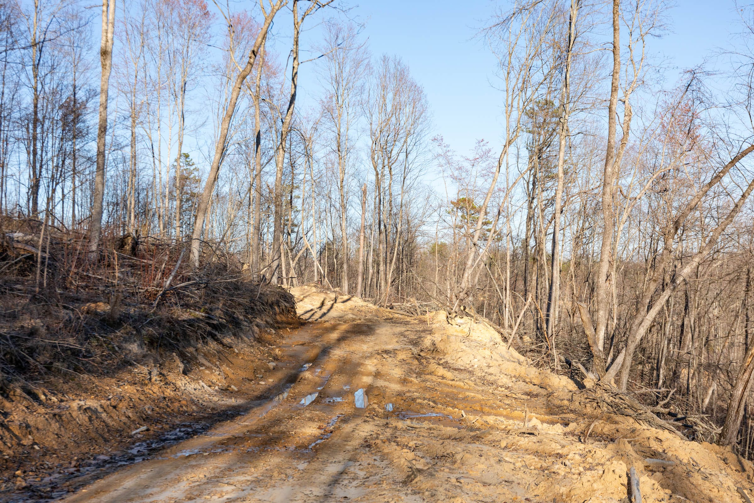 Creek Hollow Phase I Tract 22 photo 8