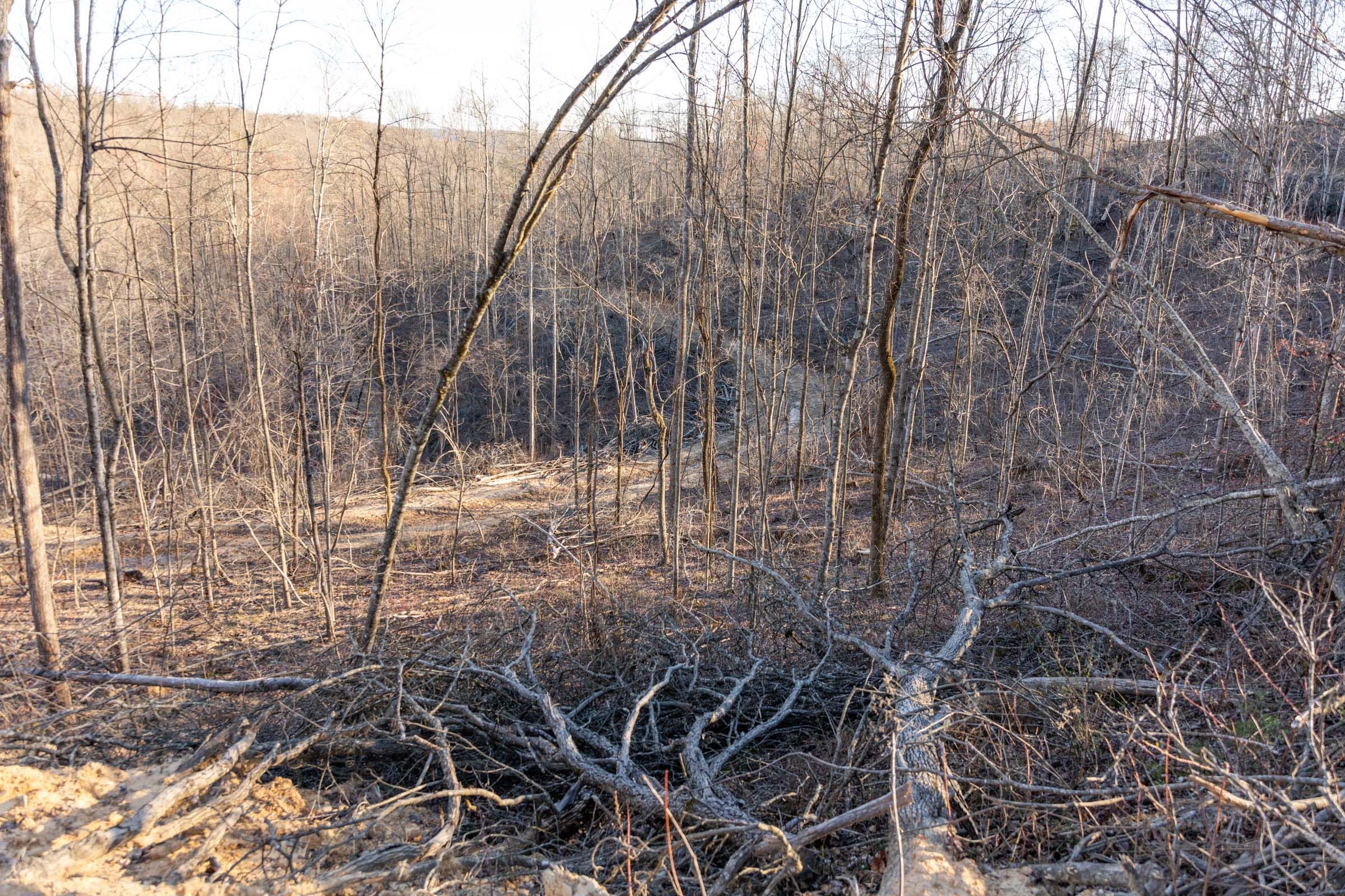 Creek Hollow Phase I Tract 22 photo 6