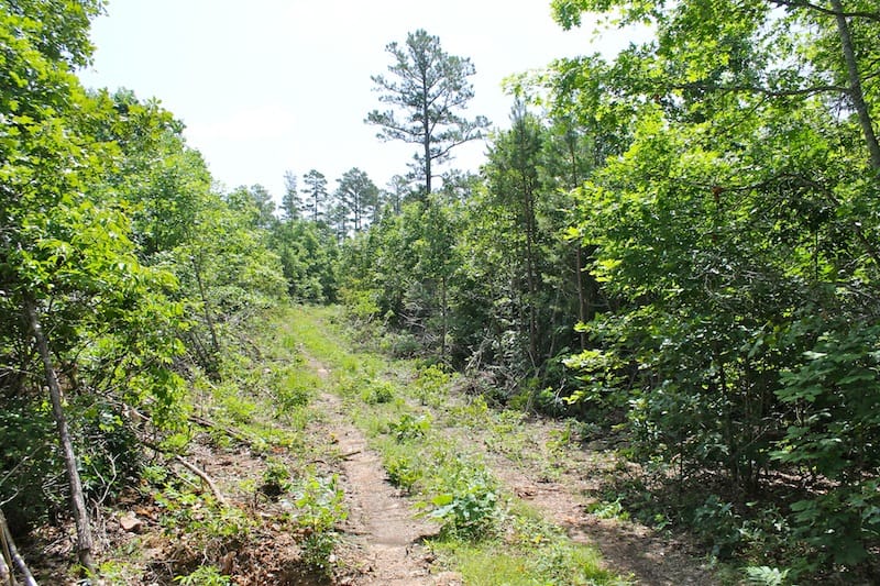 Green Mountain Ranch Tract 30 photo 1