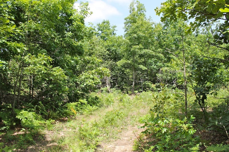 Green Mountain Ranch Tract 30 photo 2