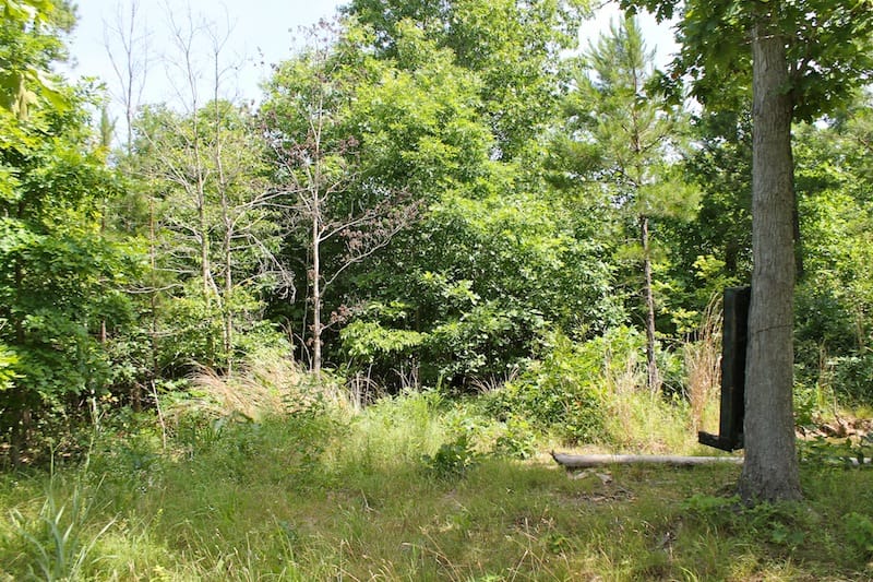 Green Mountain Ranch Tract 30 photo 3