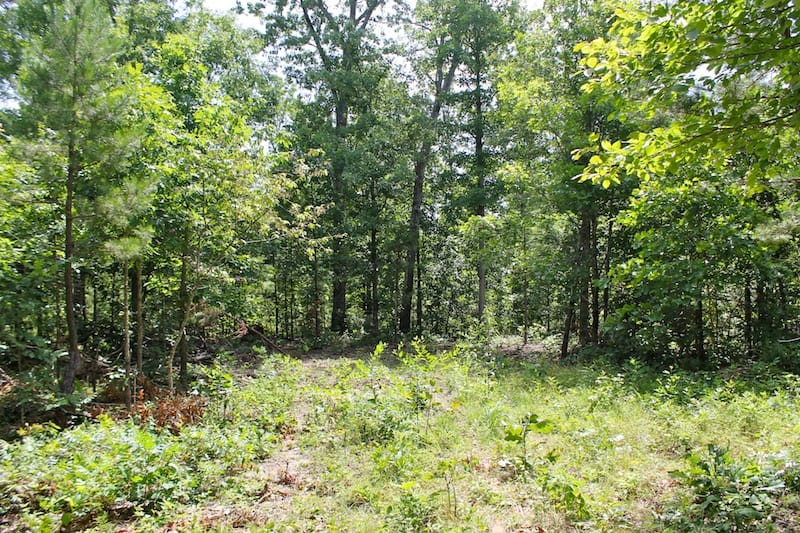 Green Mountain Ranch Tract 30 photo 5