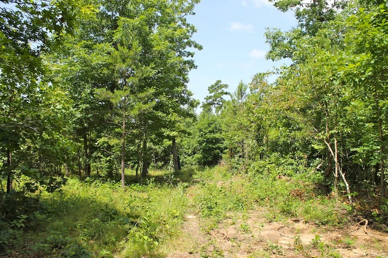 Green Mountain Ranch Tract 30 photo 7