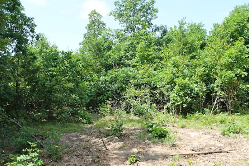 Green Mountain Ranch Tract 30 photo 8