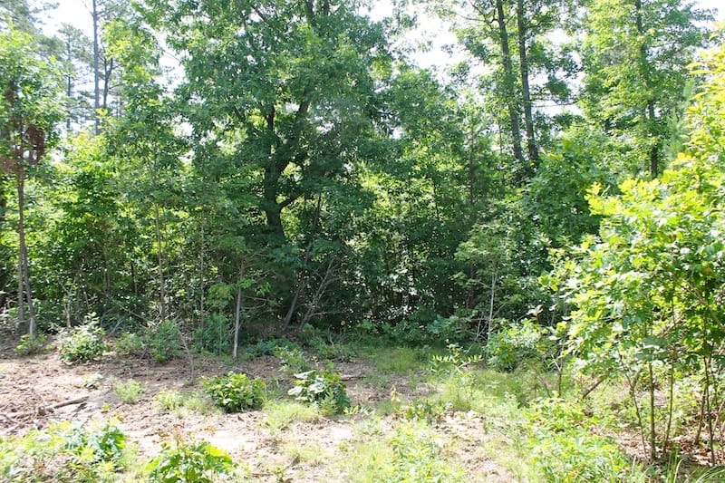 Green Mountain Ranch Tract 30 photo 9