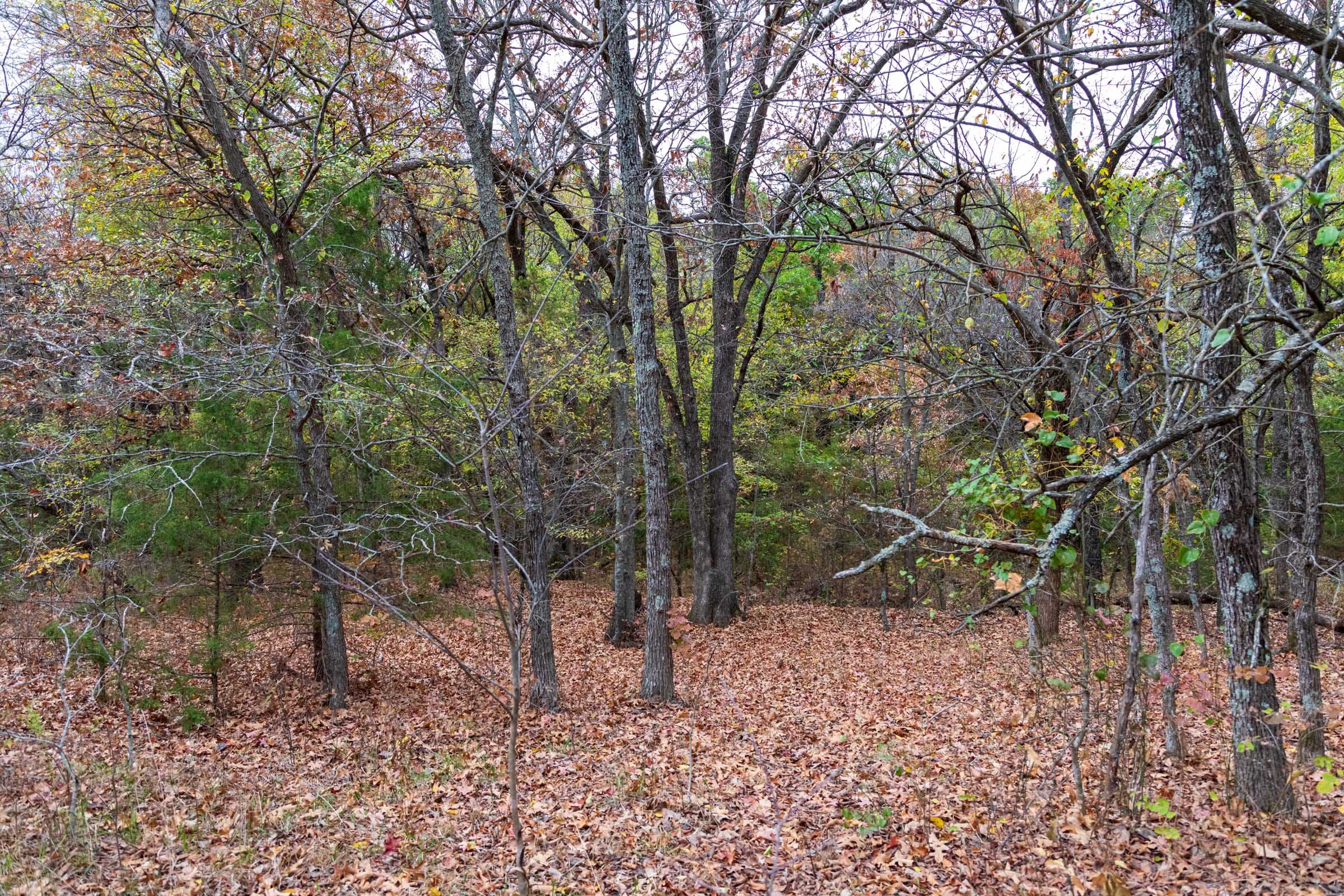 Crystal Springs Tract 3 photo 4