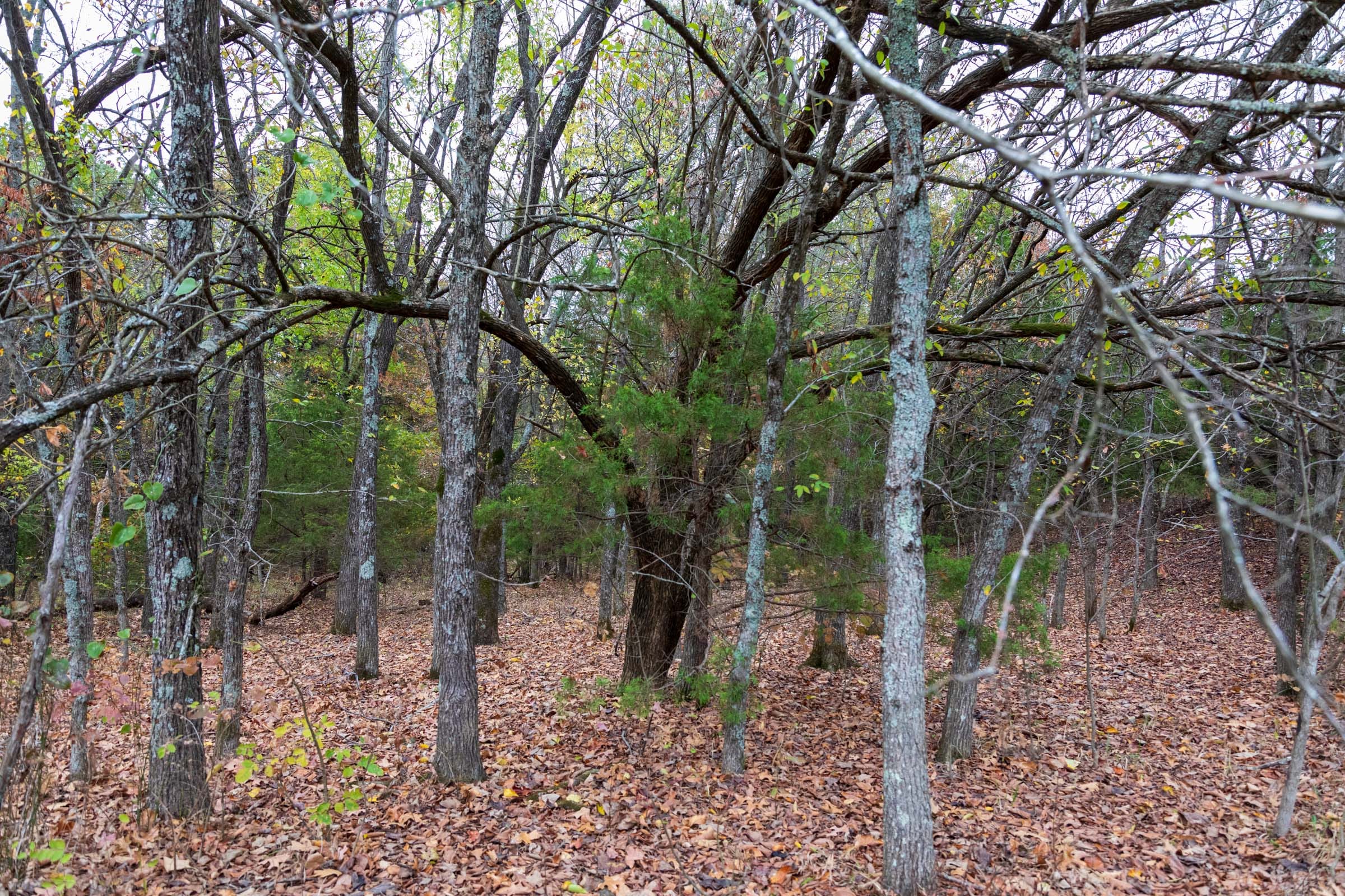 Crystal Springs Tract 3 photo 5
