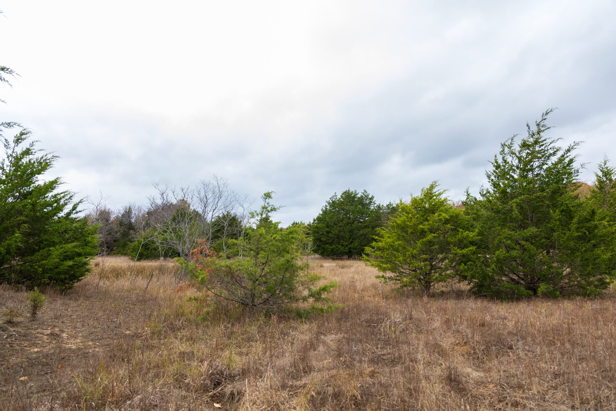 Crystal Springs Tract 3 photo 11
