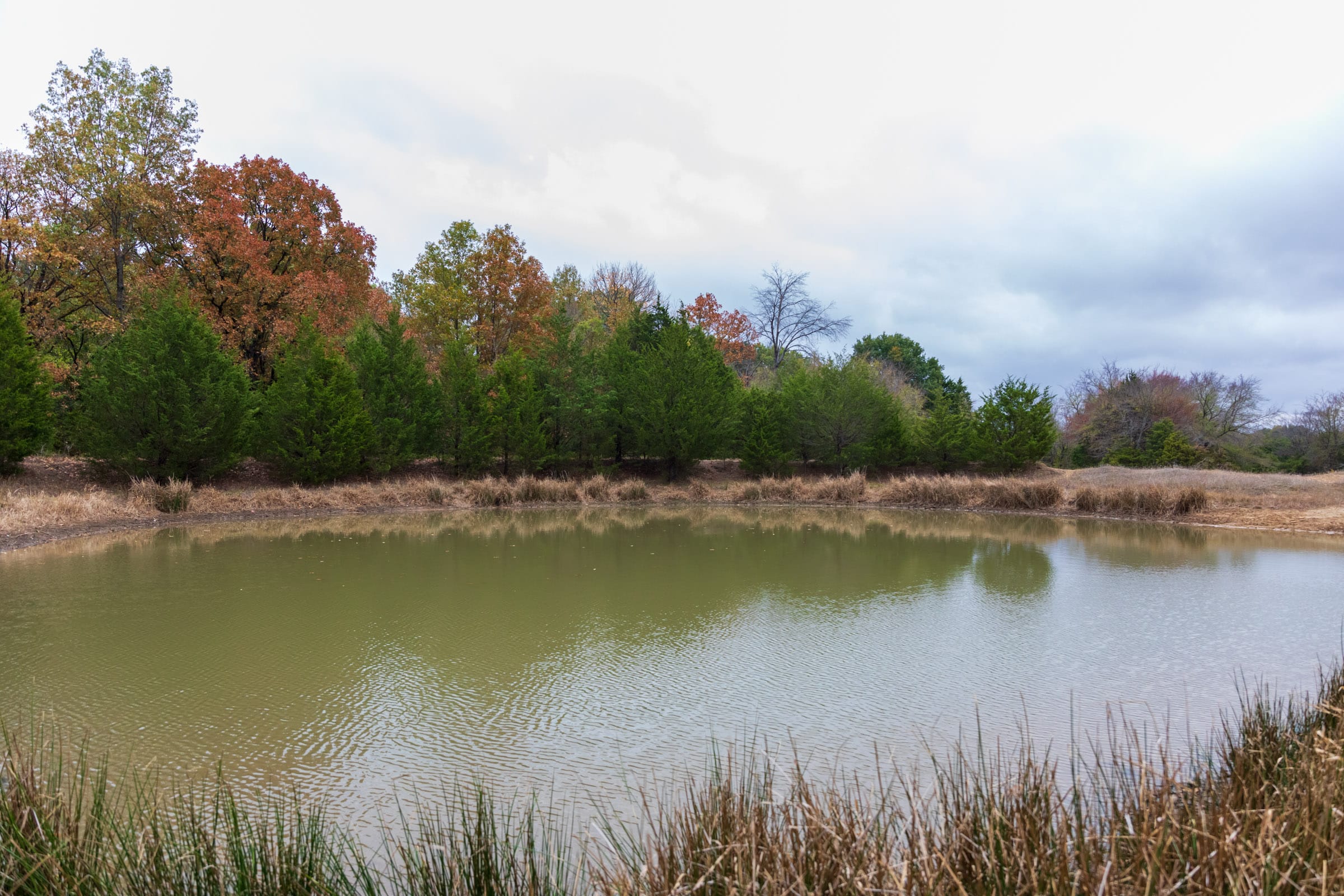 Crystal Springs Tract 3 photo 6