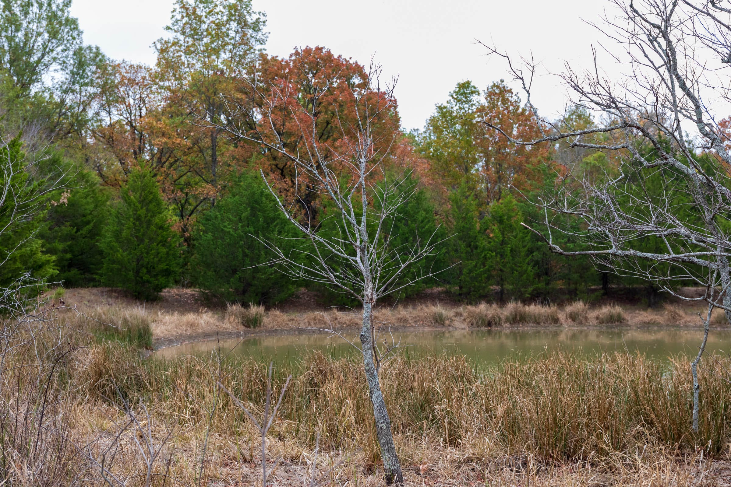 Crystal Springs Tract 3 photo 9
