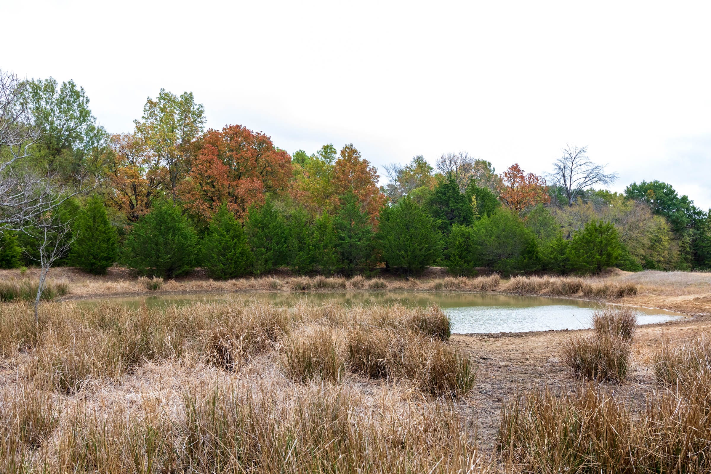 Crystal Springs Tract 3 photo 10