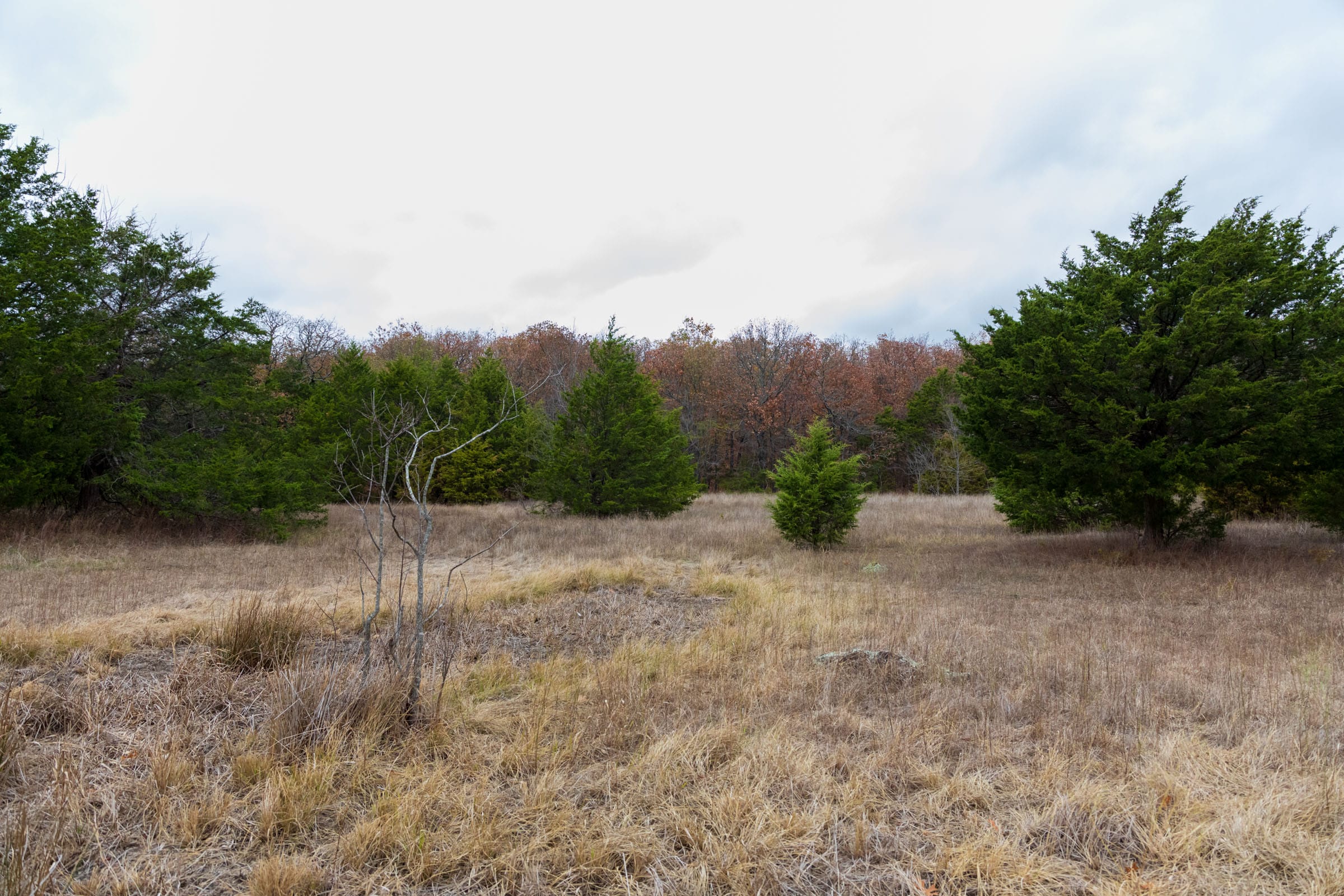 Crystal Springs Tract 3 photo 12