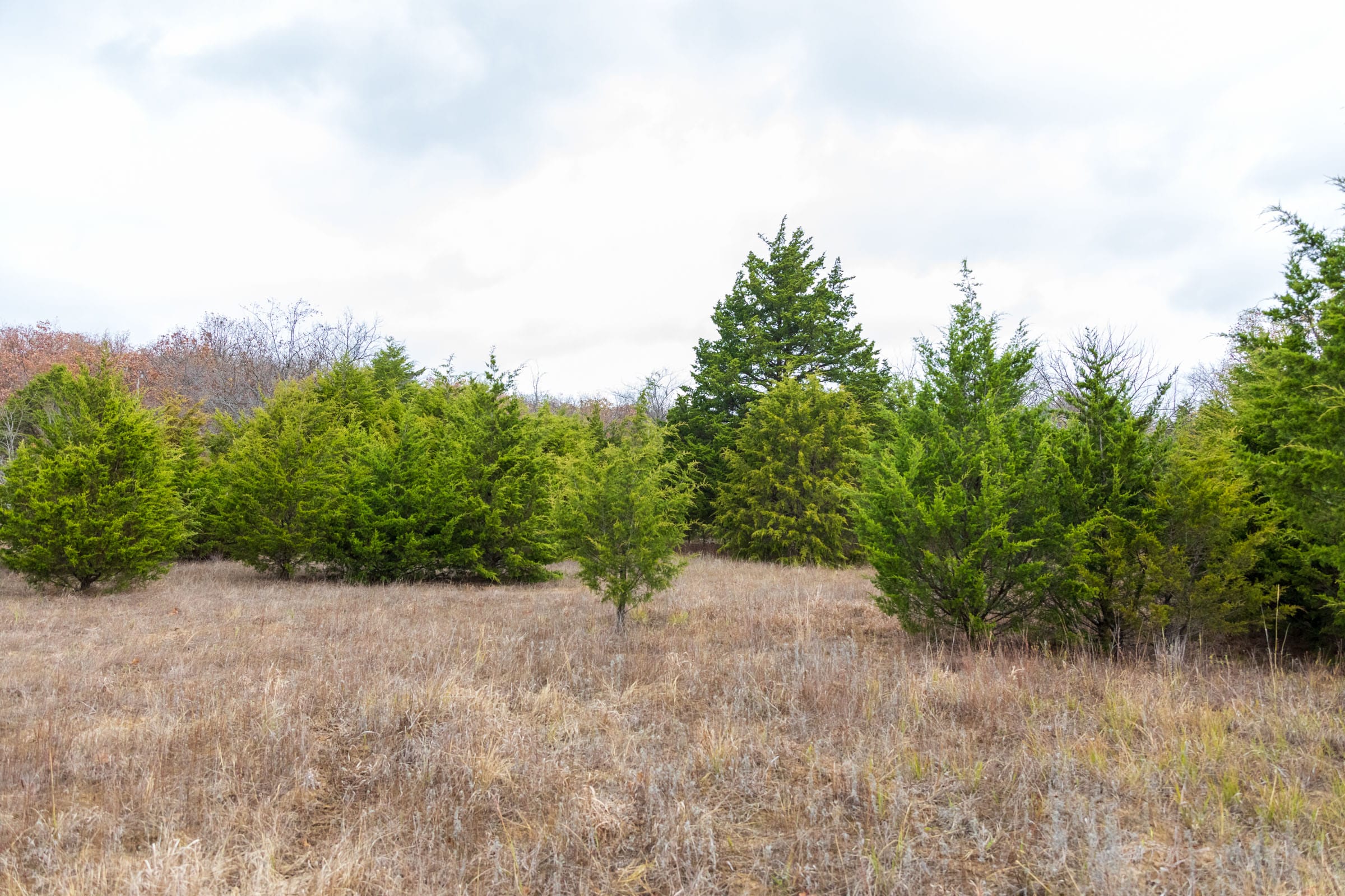 Crystal Springs Tract 3 photo 13