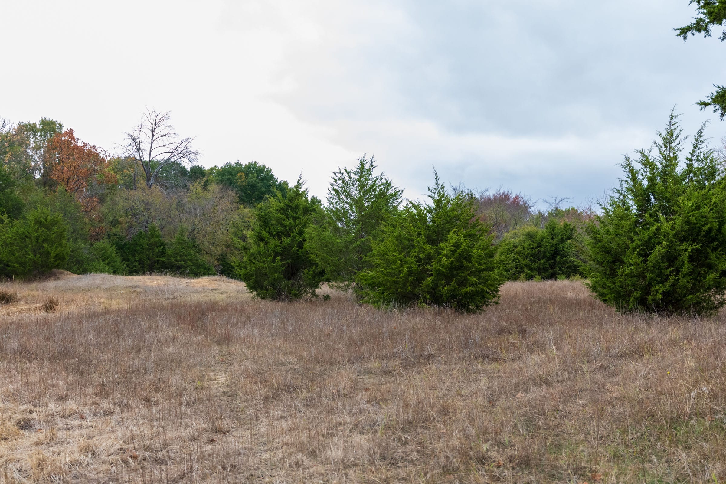 Crystal Springs Tract 3 photo 14
