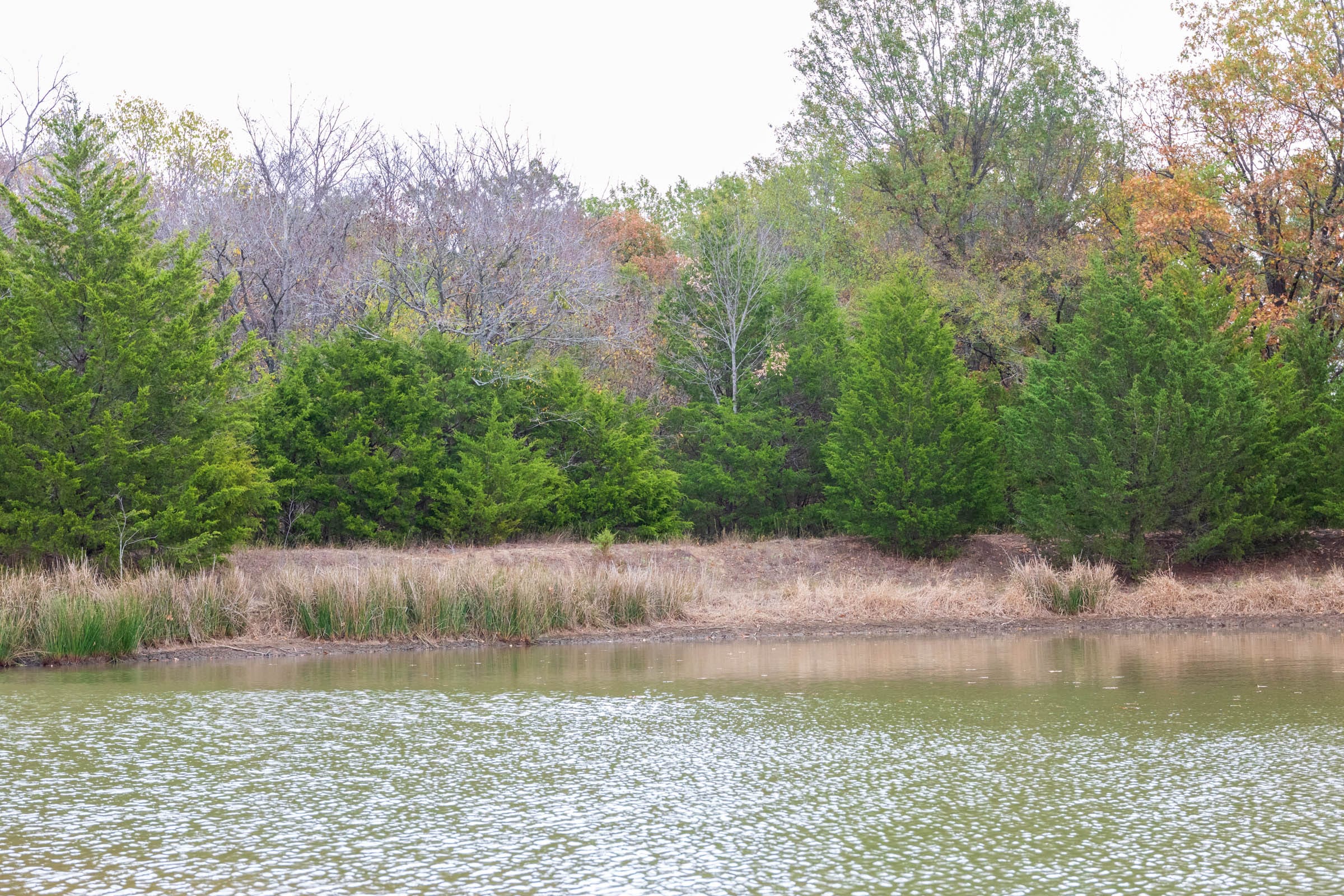 Crystal Springs Tract 3 photo 15