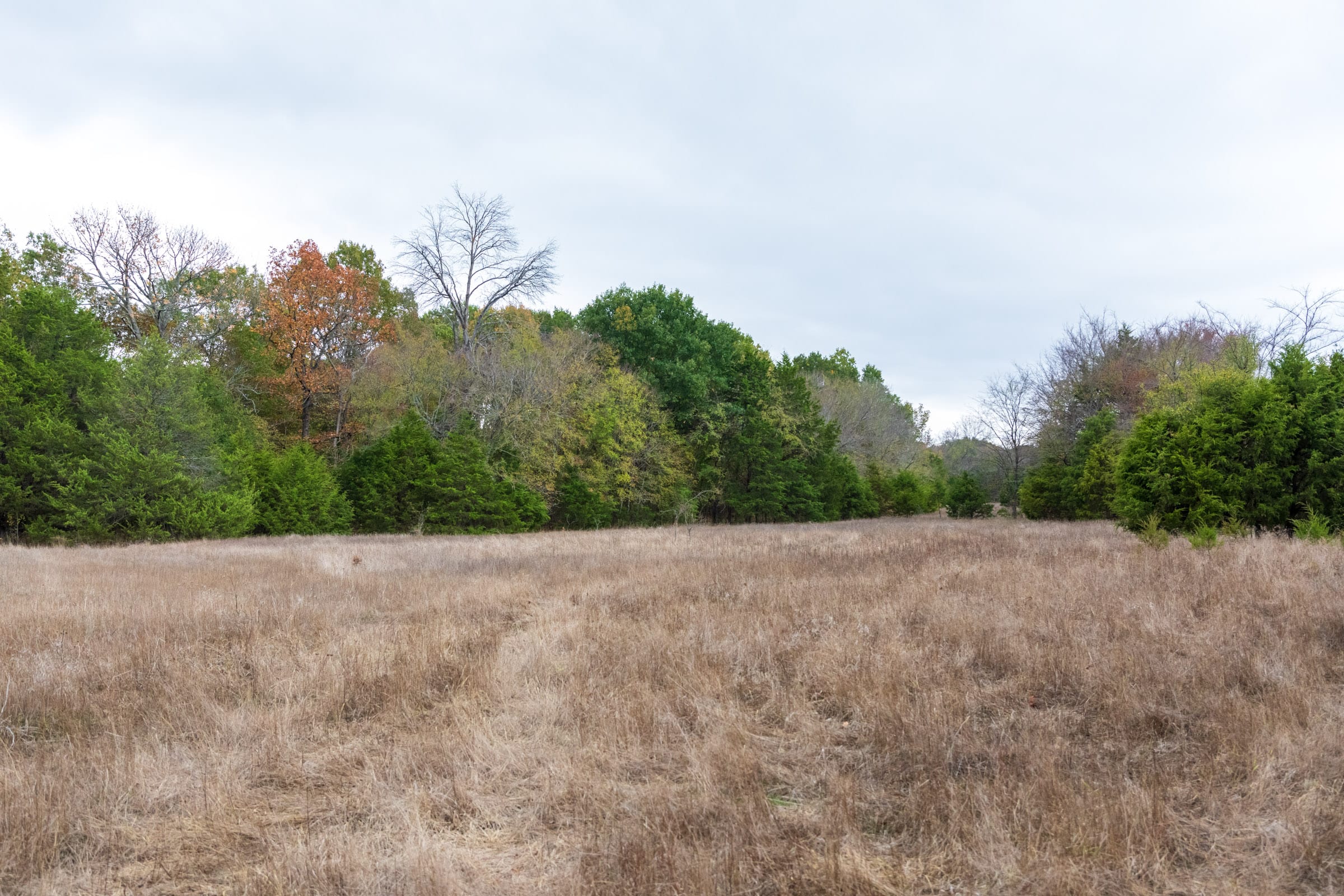 Crystal Springs Tract 3 photo 16