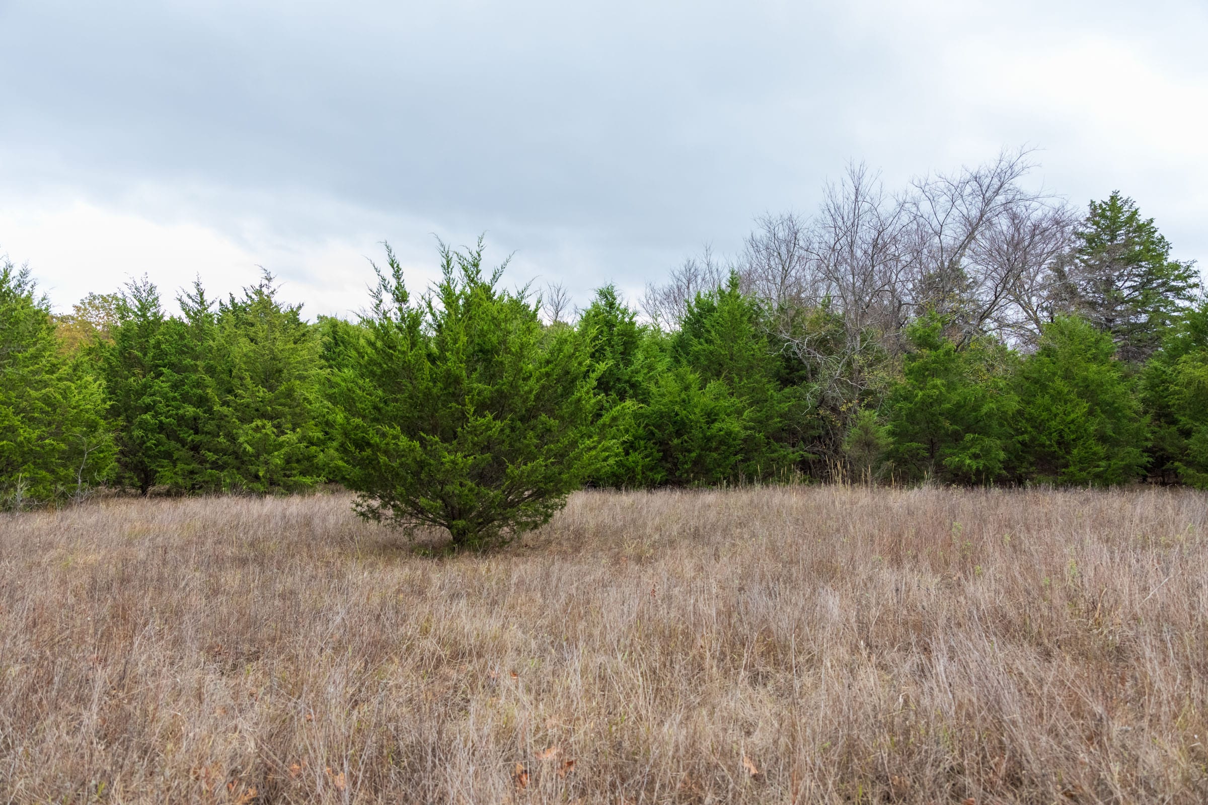 Crystal Springs Tract 3 photo 18