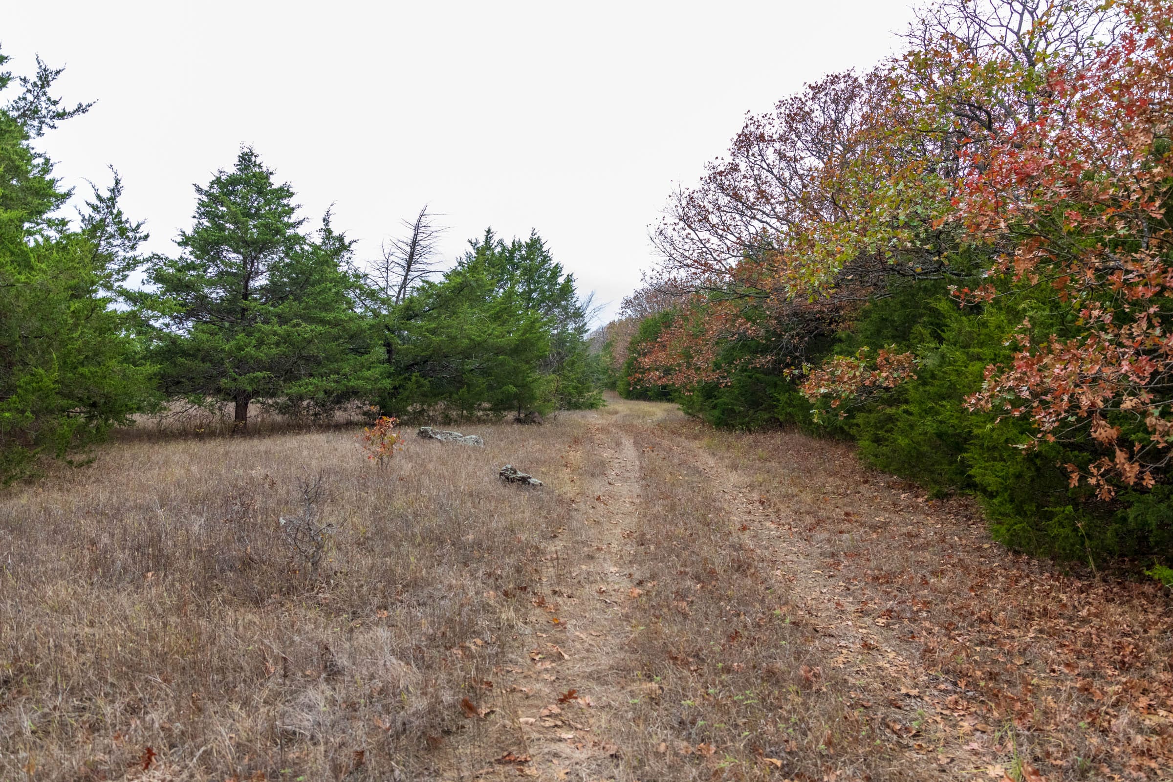 Crystal Springs Tract 3 photo 1