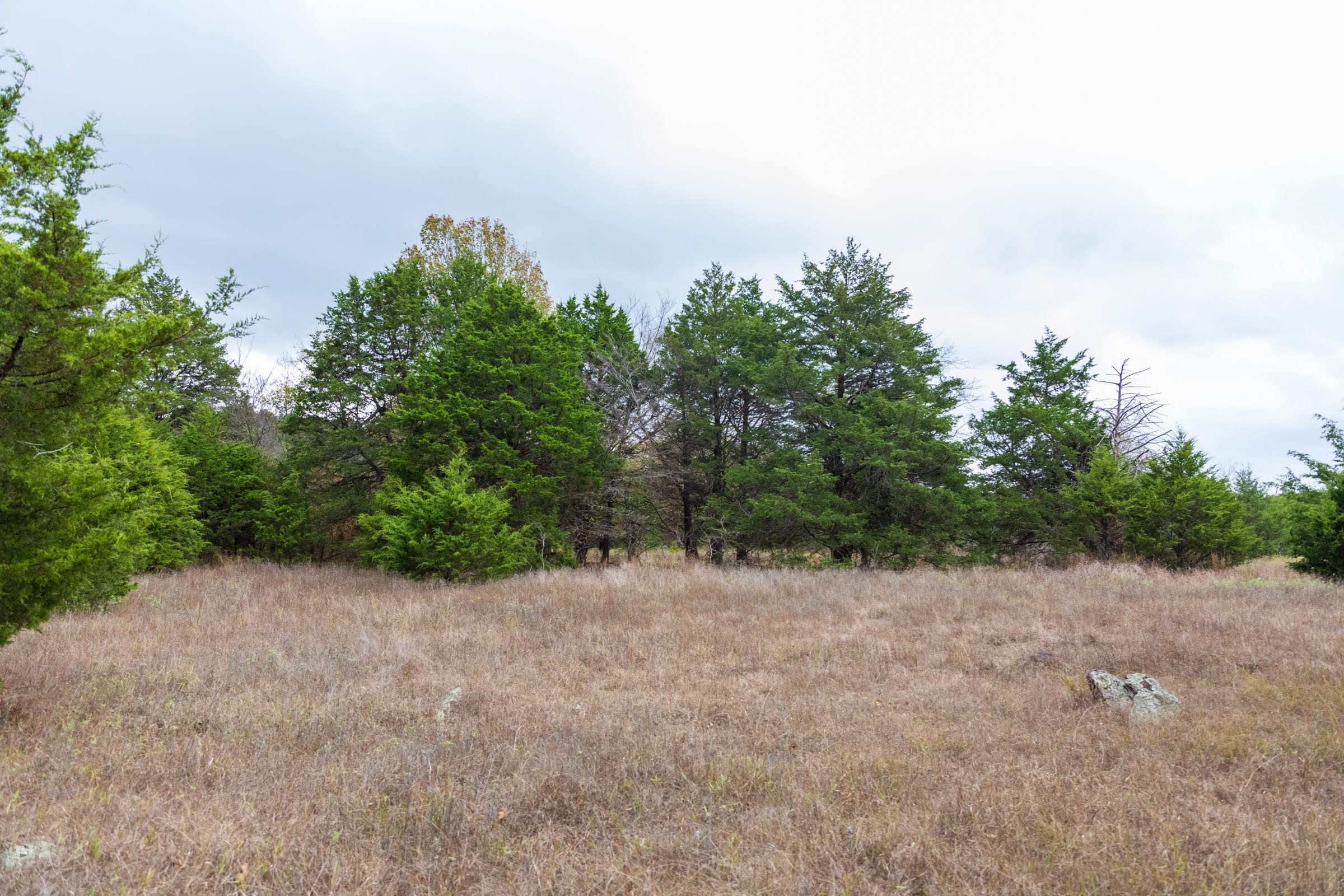 Crystal Springs Tract 3 photo 19