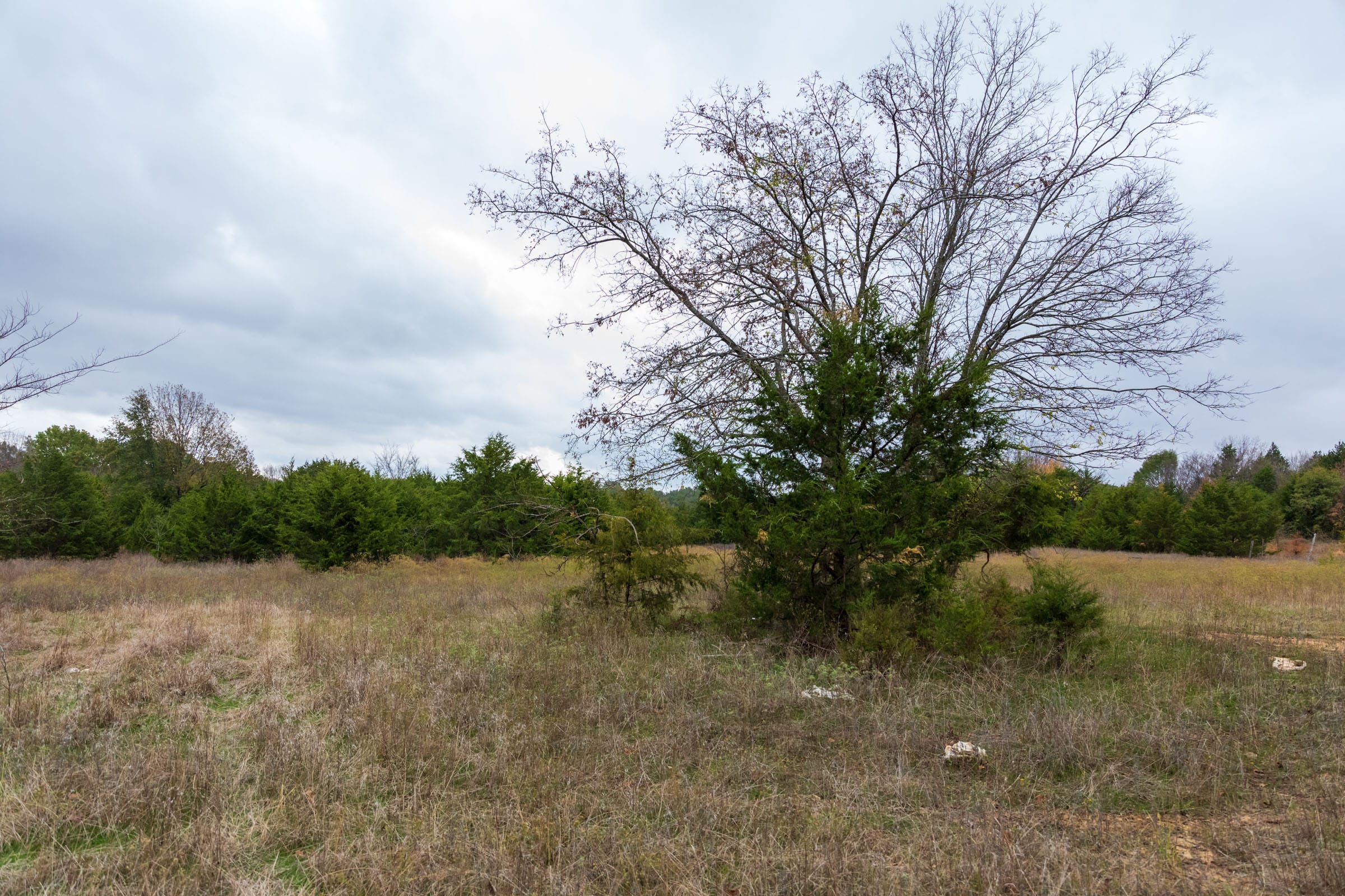 Crystal Springs Tract 3 photo 22