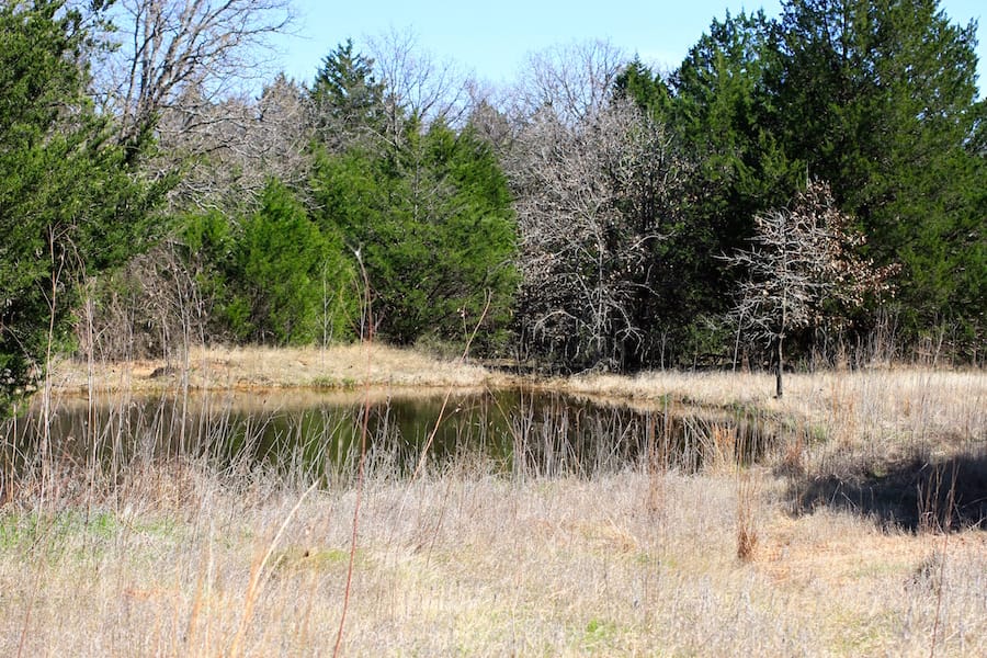 Montgomery Ranch Tract 13 photo 3