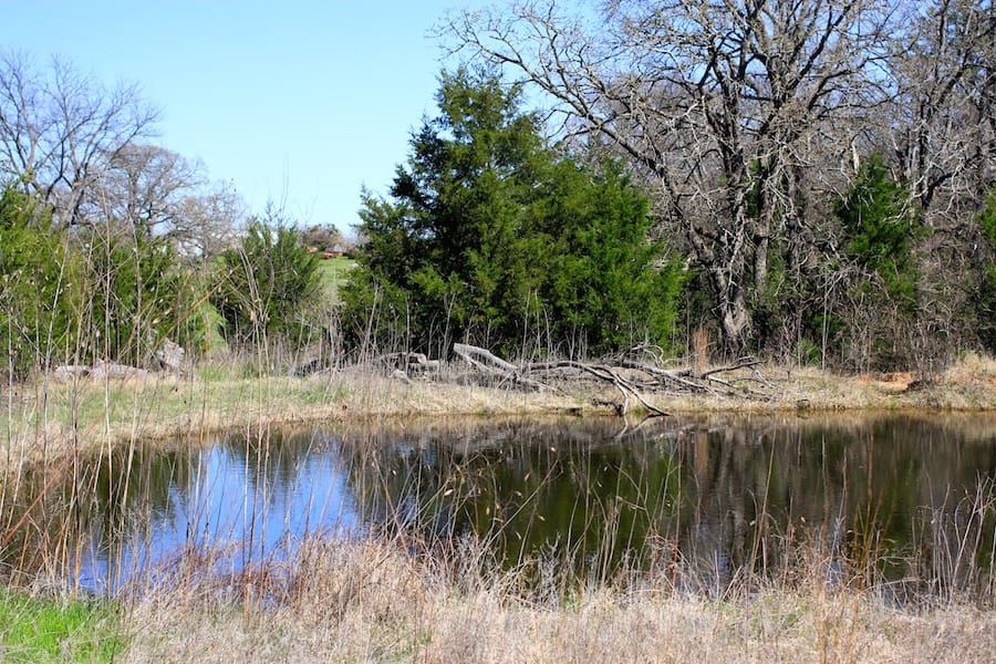 Montgomery Ranch Tract 13 photo 4