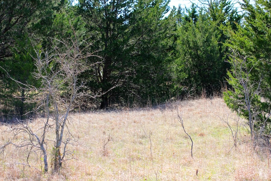 Montgomery Ranch Tract 13 photo 7