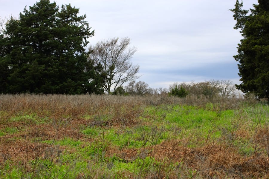 Montgomery Ranch Tract 13 photo 11