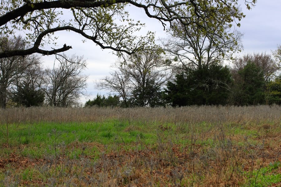 Montgomery Ranch Tract 13 photo 12