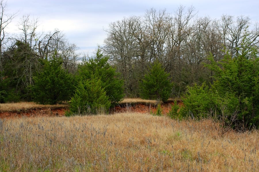 Montgomery Ranch Tract 13 photo 13