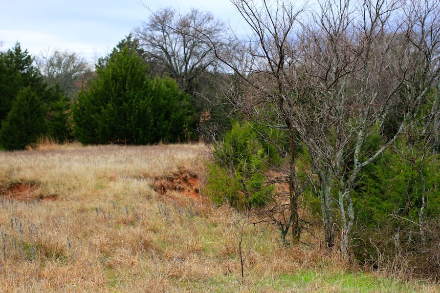Montgomery Ranch Tract 13 photo 14