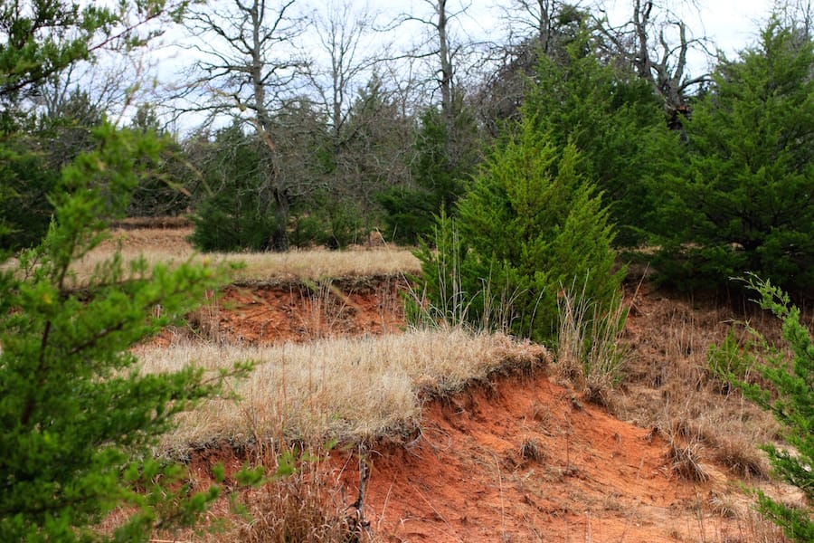Montgomery Ranch Tract 13 photo 15