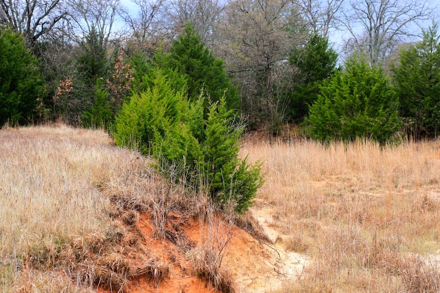 Montgomery Ranch Tract 13 photo 16